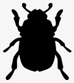 Beatle Beetle - Beetle Icon Png, Transparent Png, Transparent PNG