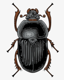 Beetle, Black, Insect, Nature - Beetle Bug, HD Png Download, Transparent PNG