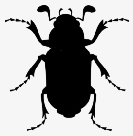 Beetle Png Transparent Images - Cartoon Cockroach, Png Download, Transparent PNG