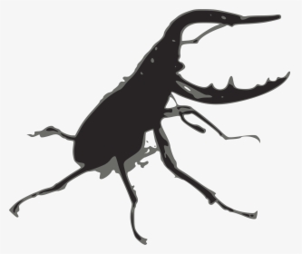 Svg Free Big Image Png - Stag Beetle Png Black, Transparent Png, Transparent PNG