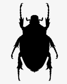Transparent Beetle Clipart - Bug Shape, HD Png Download, Transparent PNG