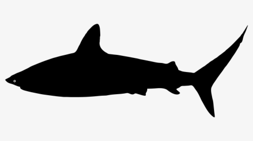 Shark Silhouette Png - Shark Clipart Silhouette, Transparent Png, Transparent PNG