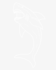White Shark Png Left Face - Tableware, Transparent Png, Transparent PNG