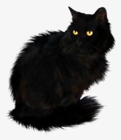 Free Png Png Waving Cat Png Images Transparent - Black British Longhair Cat, Png Download, Transparent PNG