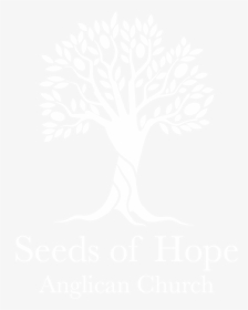 Seeds Of Hope Logo White - Johns Hopkins Logo White, HD Png Download, Transparent PNG