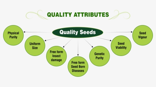 Quality Attributes - Png - Attributes Of Quality, Transparent Png, Transparent PNG