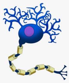 Neuron Cartoon - Neurotransmitter Filled Vesicles Neurons, HD Png Download, Transparent PNG