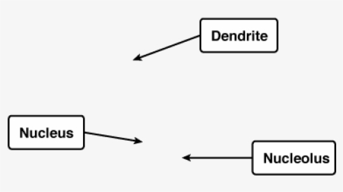 Diagram, HD Png Download, Transparent PNG