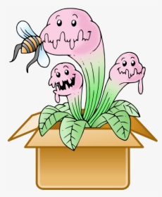 Mystery Box   Title Mystery Box - Venus Fly Trap Cartoon, HD Png Download, Transparent PNG
