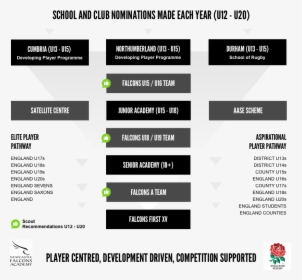 Enter Image Description Here - England Rugby Player Pathway, HD Png Download, Transparent PNG