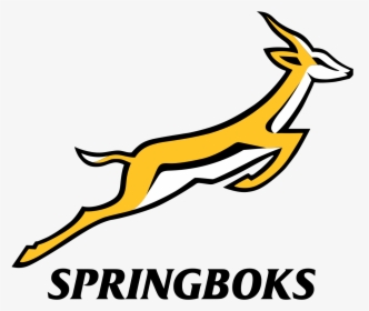 Springbok Rugby Logo, HD Png Download, Transparent PNG