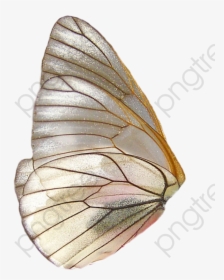 Butterfly Wings Clipart Wing - Butterfly Wings Png, Transparent Png, Transparent PNG