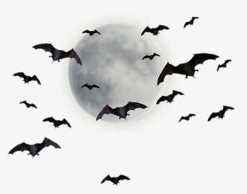 Bat Png Transparent Images - Moon And Bats Png, Png Download, Transparent PNG