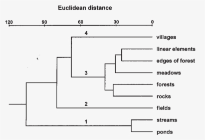 Diagram, HD Png Download, Transparent PNG