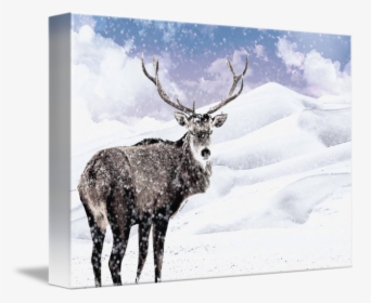 Stag During A - Antler, HD Png Download, Transparent PNG