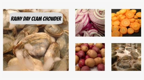 Clam Chowder - Shallot, HD Png Download, Transparent PNG