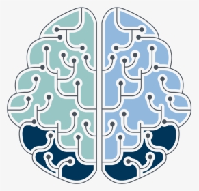A Blue, Green And Dark Blue Brain Explaining The Wms - Illustration, HD Png Download, Transparent PNG