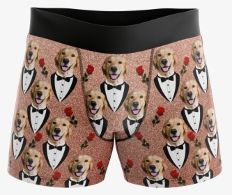 Put Your Face On Boxers - Shiba Inu Wearing Boxers, HD Png Download, Transparent PNG