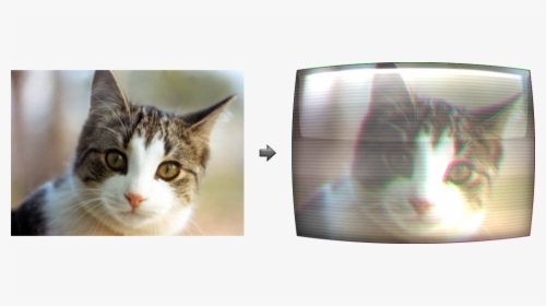A Crt Cat - Robot Cat Pet, HD Png Download, Transparent PNG