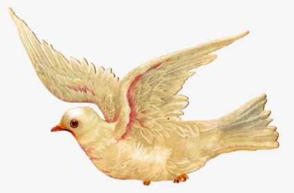 Religious Easter Clipart Interesting Inspiration - Vintage Bird Illustrations Flying, HD Png Download, Transparent PNG