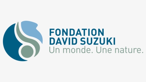 Transparent Suzuki Logo Png - David Suzuki Foundation Québec, Png Download, Transparent PNG