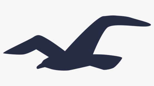 Hollister Logo Bird, HD Png Download, Transparent PNG