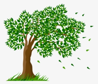 Collection Of Transparent - Tree And Grass Drawing, HD Png Download, Transparent PNG
