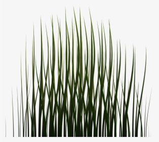 1024 X 1024 Png - Game Grass Texture Transparent, Png Download, Transparent PNG