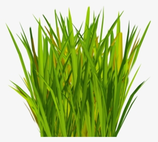 Most Realistic Artificial Grass V - Grass Blade Texture Png, Transparent Png, Transparent PNG