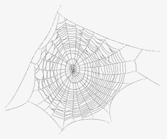 Spider Web Spider Silk Clip Art - Spider Web Transparent Background, HD Png Download, Transparent PNG