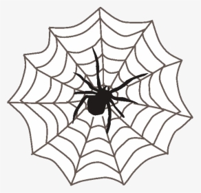 Spider Web PNG Images, Transparent Spider Web Image Download - PNGitem