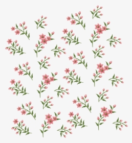 Floral Background Png Download - Clip Art, Transparent Png, Transparent PNG
