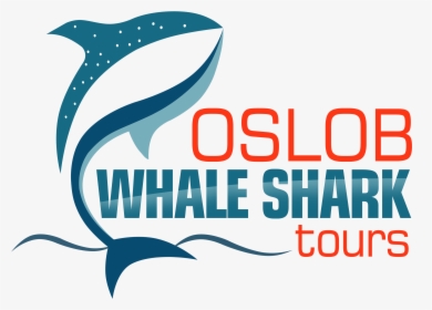 Oslob Whale Shark Tours - Graphic Design, HD Png Download, Transparent PNG