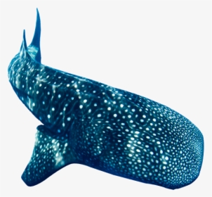 Donsol Whale Shark - Whale, HD Png Download, Transparent PNG