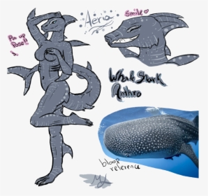 Whale Shark Clipart Furry - Sexy Anthro Whale Shark, HD Png Download, Transparent PNG