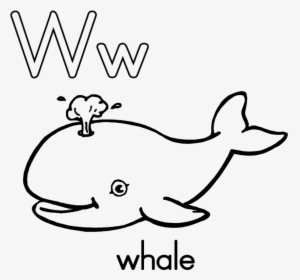 Whale Shark Clipart Paus - Black And White Whale Clipart, HD Png Download, Transparent PNG