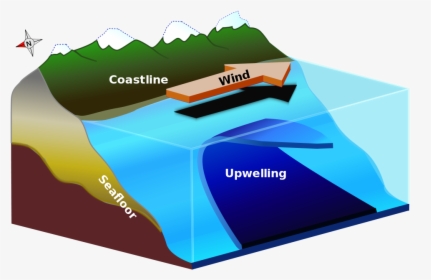 Upwelling Diagram - Upwelling Zone, HD Png Download, Transparent PNG