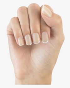 Nails Png Image - Elegant Touch Bare Nails, Transparent Png, Transparent PNG