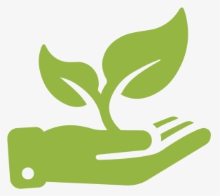 Grow Transparent Background - Icon Plant Growing Png, Png Download, Transparent PNG