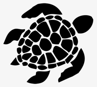 Decal Bumper Sticker Turtle Car - Black And White Turtle, HD Png Download, Transparent PNG