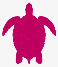 Transparent Turtle - Silhouette Turtle Vector Png, Png Download, Transparent PNG