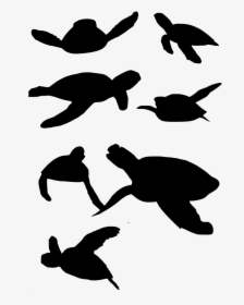 Download Png - Turtle - Sea Turtle Vector Png, Transparent Png, Transparent PNG