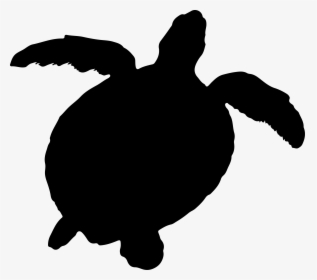 Sea Turtle Silhouette Png, Transparent Png, Transparent PNG