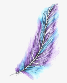 Plumas Png Tumblr 5 » Png Image - Color Drawing Of Feather, Transparent Png, Transparent PNG