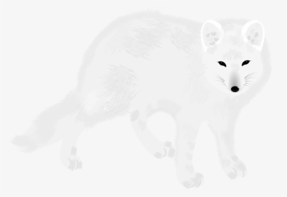 Arctic Fox,carnivore,fur - Arctic Fox, HD Png Download, Transparent PNG