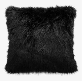 Black Fox - Black Cushion Png, Transparent Png, Transparent PNG