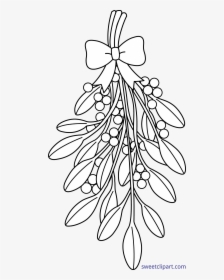 Transparent Plant Png Tumblr - Mistletoe Coloring Pages, Png Download, Transparent PNG