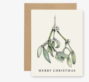 Xmas Mistletoe, HD Png Download, Transparent PNG