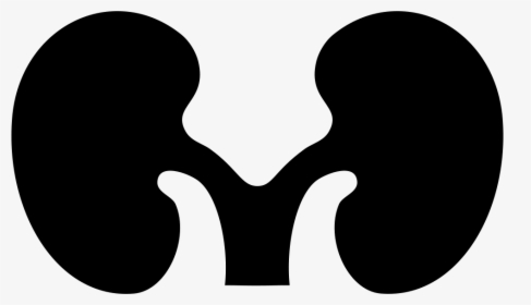 Font Kidney - Kidney Png Black & White, Transparent Png, Transparent PNG
