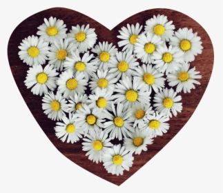 Flower Png Heart Transparent - Profile Icon Whatsapp Flower, Png Download, Transparent PNG